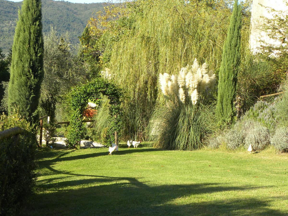 Country Resort Il Frassine Rignano sullʼArno Exterior foto